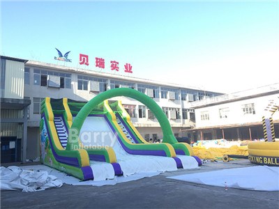 Best Popular Commercial Animal Theme Inflatable Slide With Customized Size  BY-DS-108