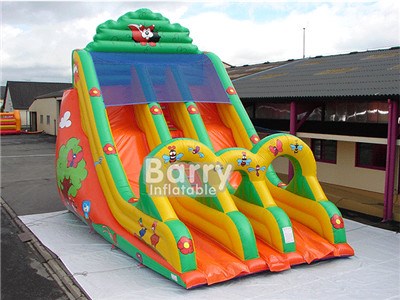 Squirrel Inflatable Dry Slide  BY-DS-120